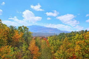 Knotty Pine Delight Holiday home Gatlinburg